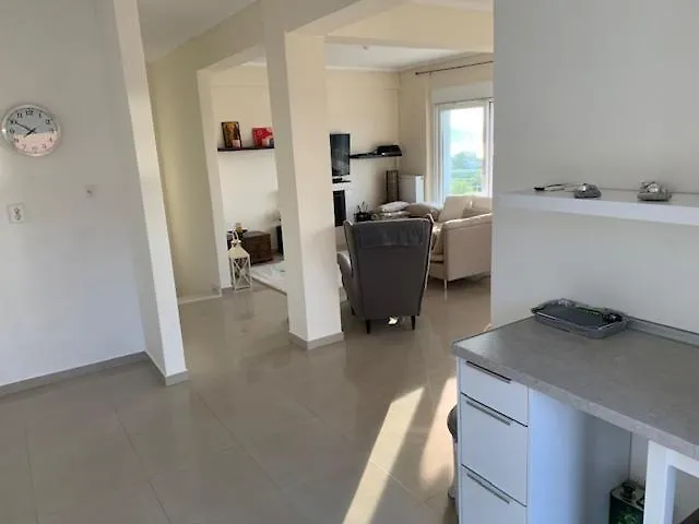 Sunny Side Palio Cavala